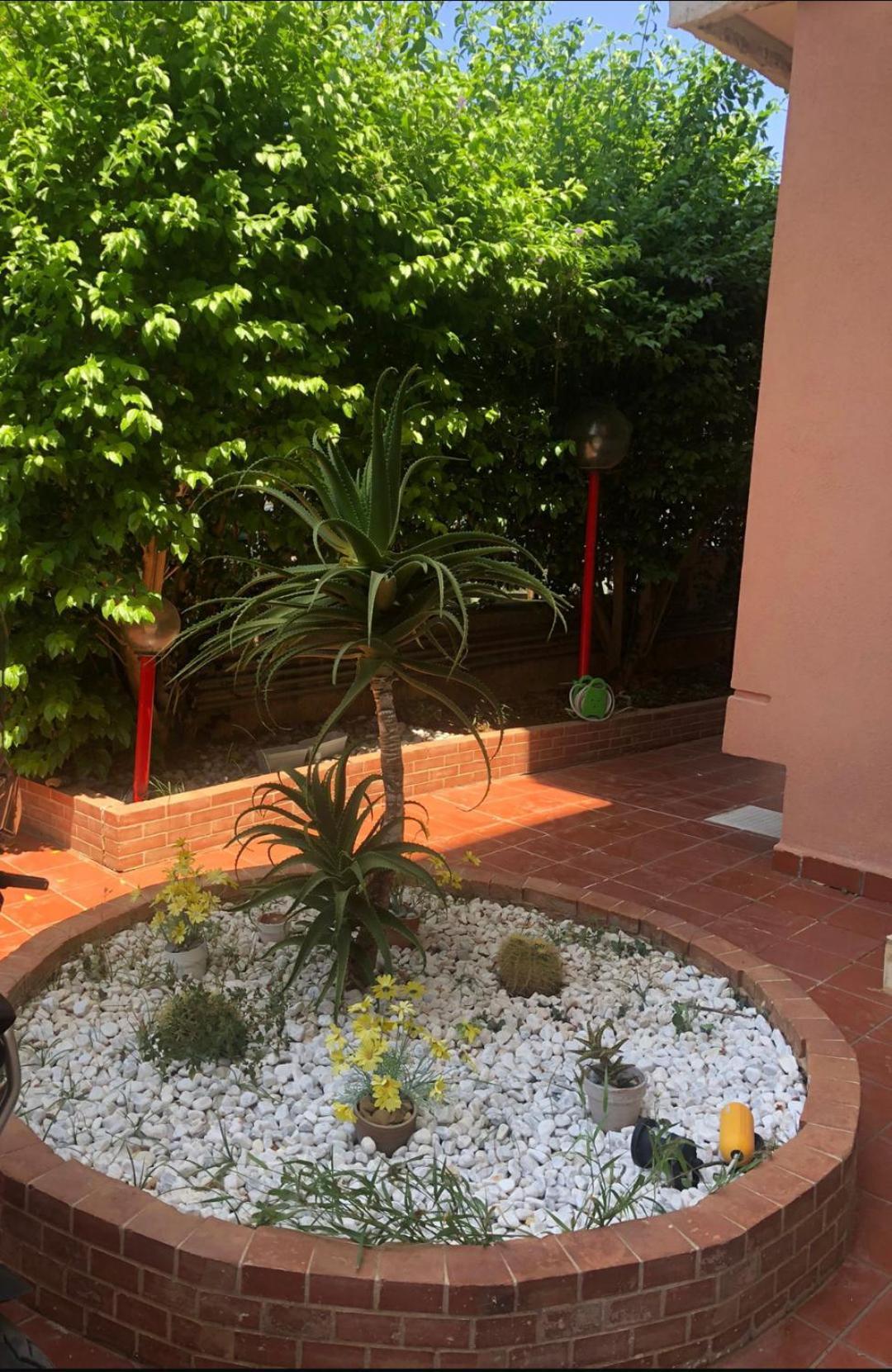 Mondello House Lemon Appartement Palermo Buitenkant foto