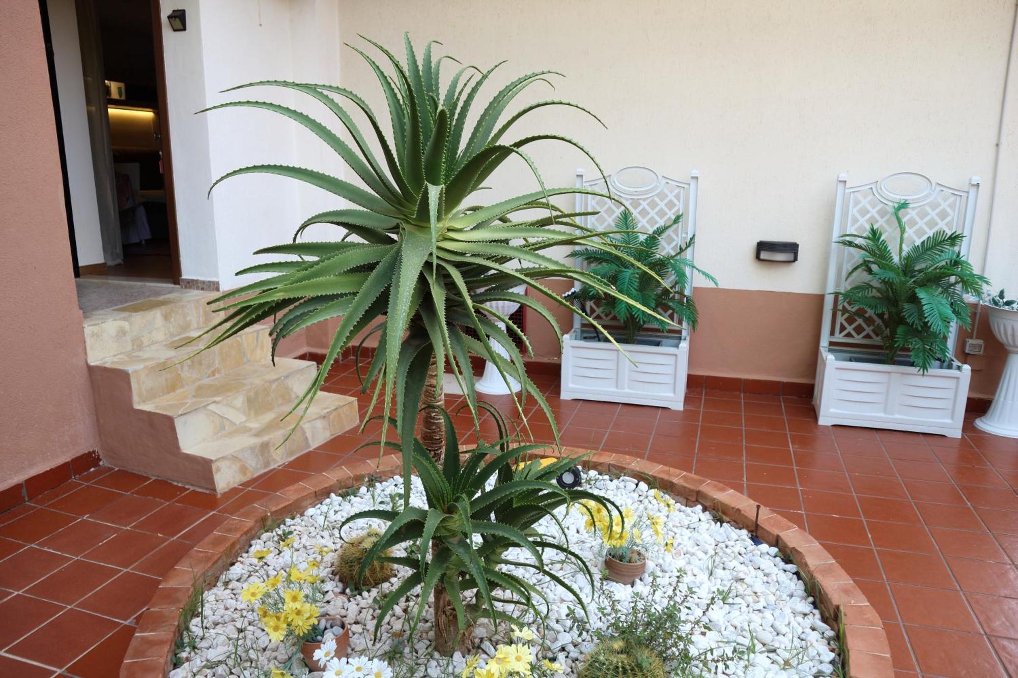 Mondello House Lemon Appartement Palermo Buitenkant foto